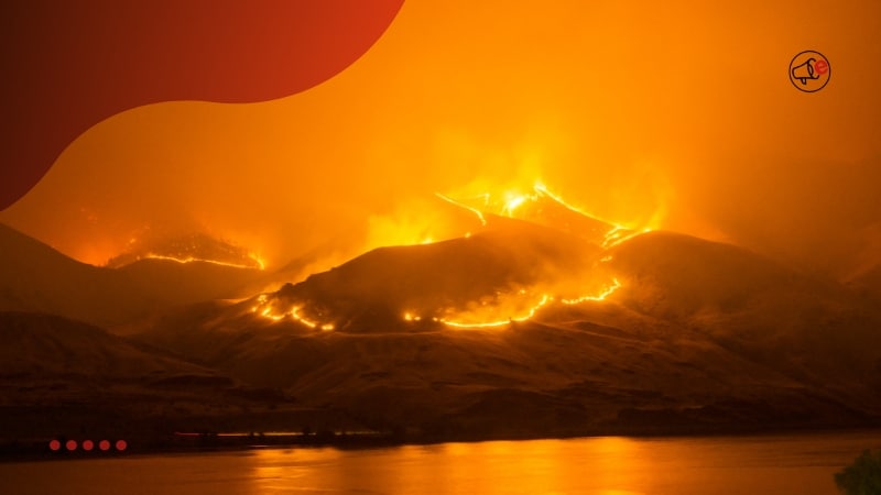 Incêndios em LA