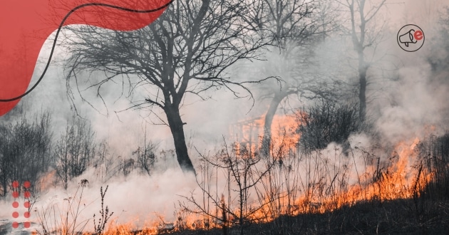 Incêndios em Los Angeles