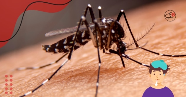 Como se Prevenir da Dengue